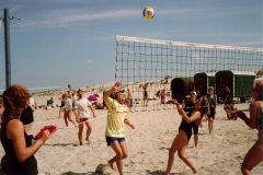 bild8