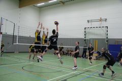 IMG_6517